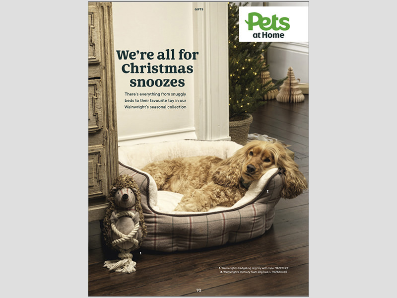 Matthew Seed shoots Pets At Home on location for the new Christmas campaign.